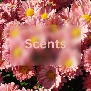 Scented minis samples luxury gifting